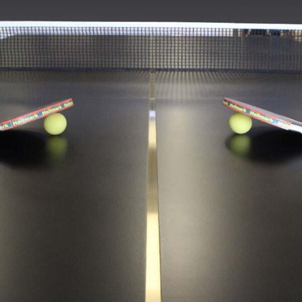 The Pembridge Bespoke Pool & Table Tennis - Image 5